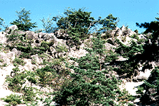 神幽現総本山から見た山